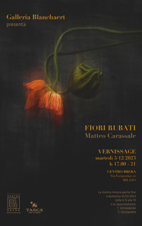 Fiori rubati